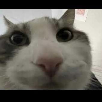 tastuch4