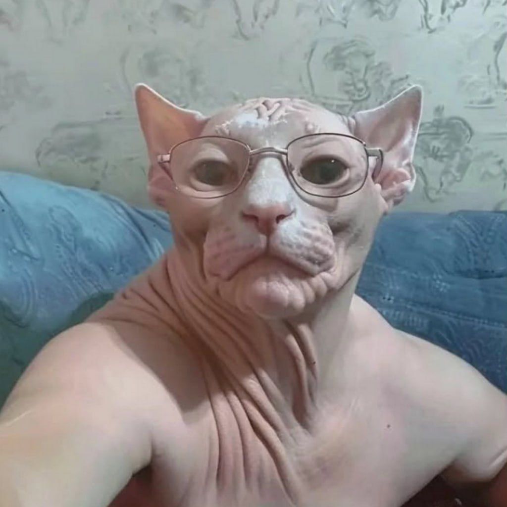Dajbog