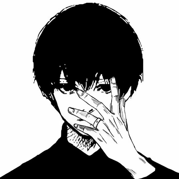 sanfixtilt avatar