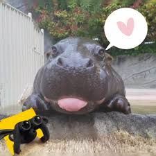 2H0Il1s