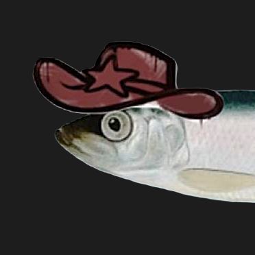 AuGGu FACEIT avatar