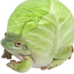 team_Maczkens