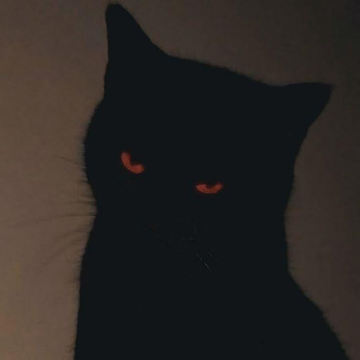 Konecko avatar