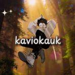 kaviokauk