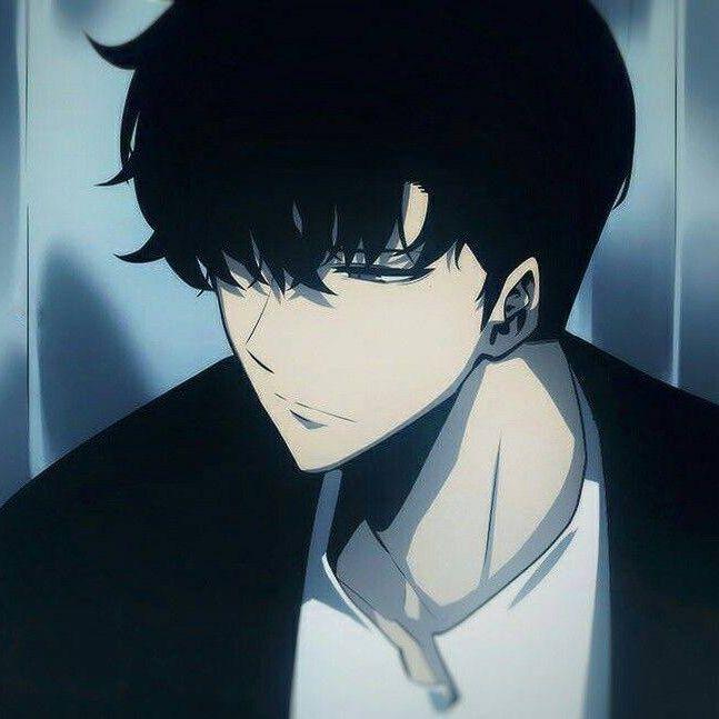 Se1Kuro avatar