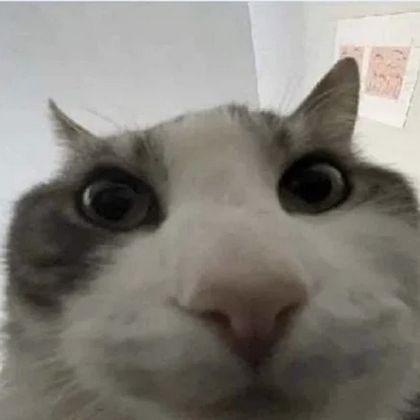 Lateriuss