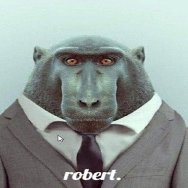 Sibvey