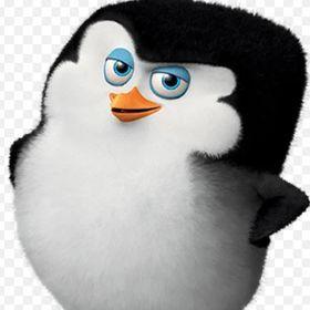 KOZDRO avatar