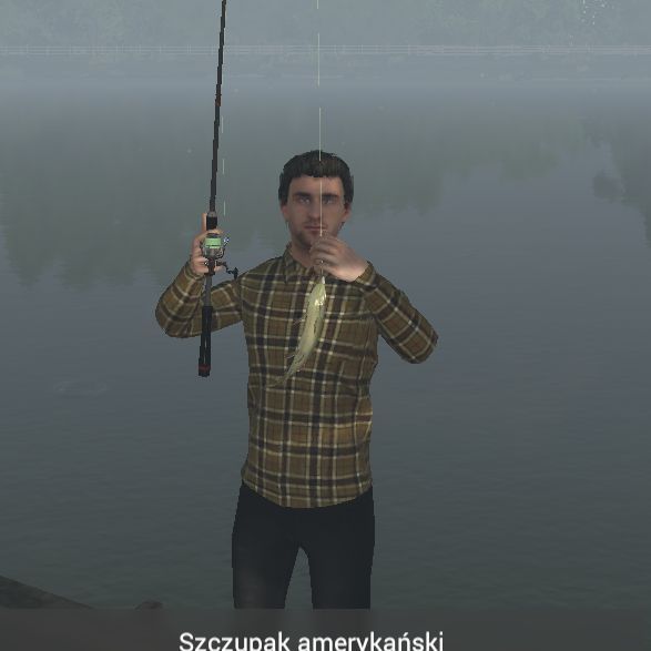 Krokiet21