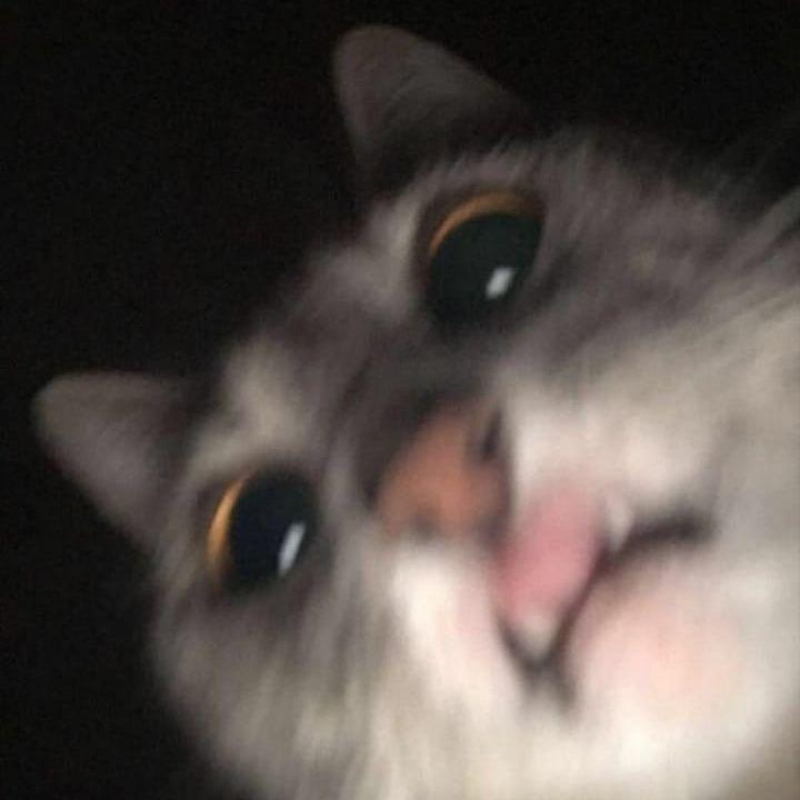 RareNik avatar