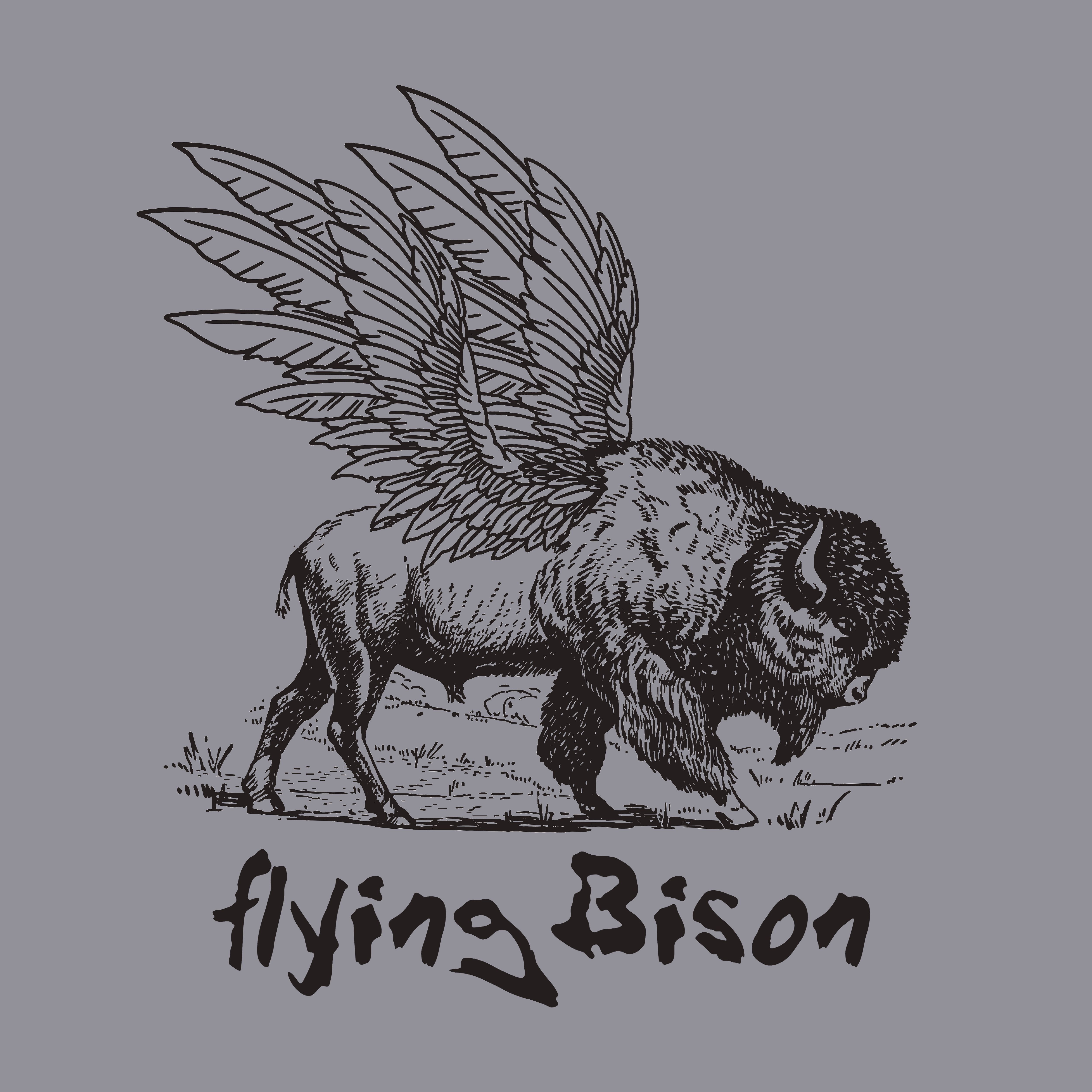 flyingBison FACEIT avatar