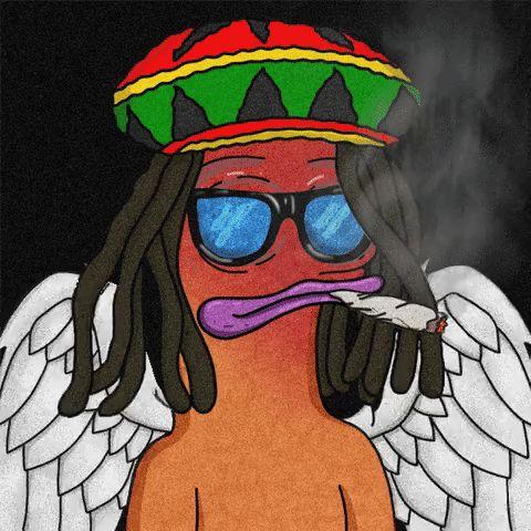 Macca1222 avatar