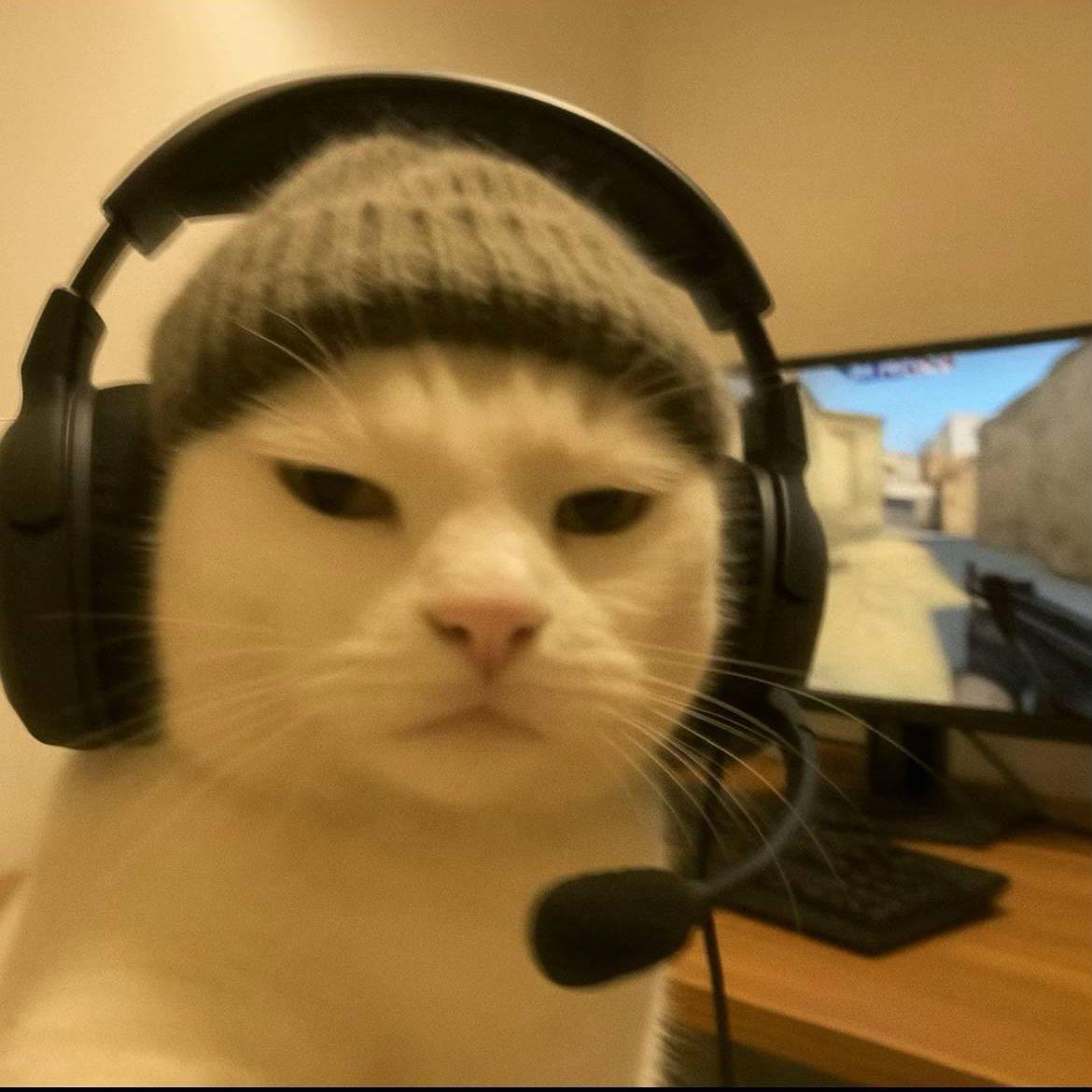 PowarAvarski avatar