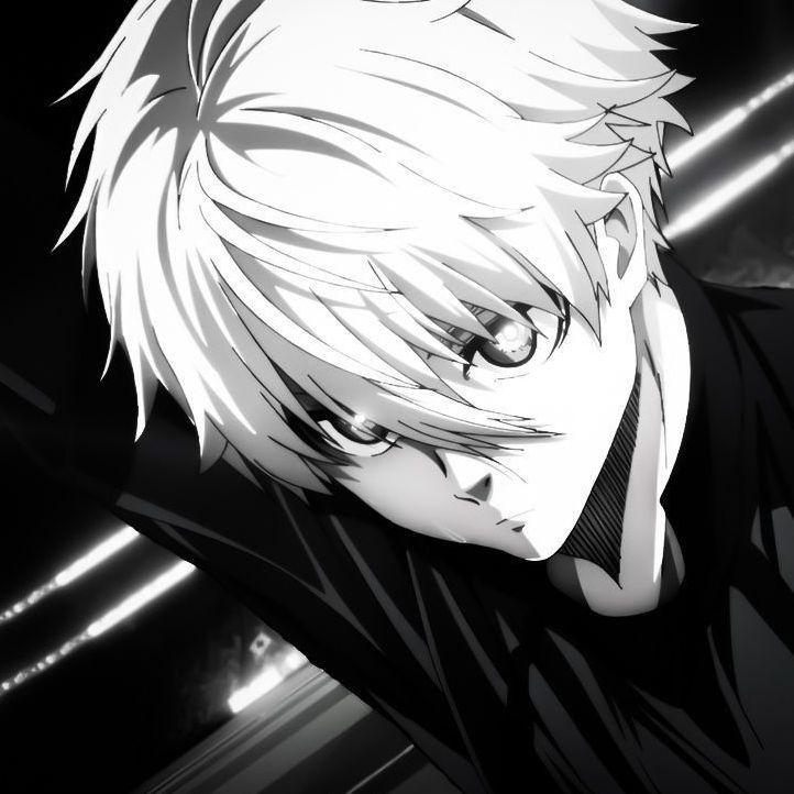 n9ghtT avatar