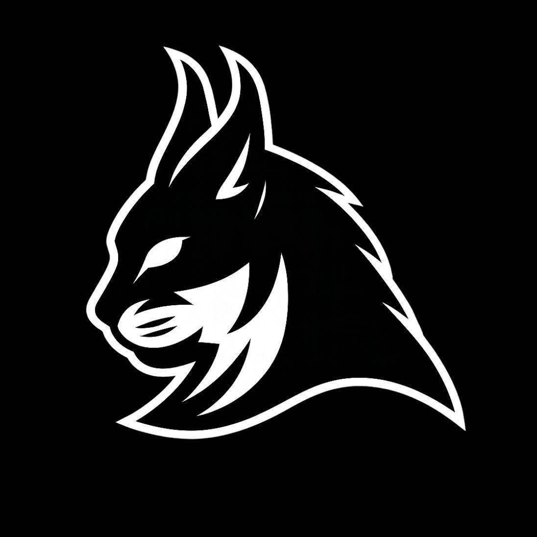 gamper_steel avatar