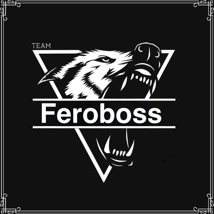 FEROOOBOSSS avatar