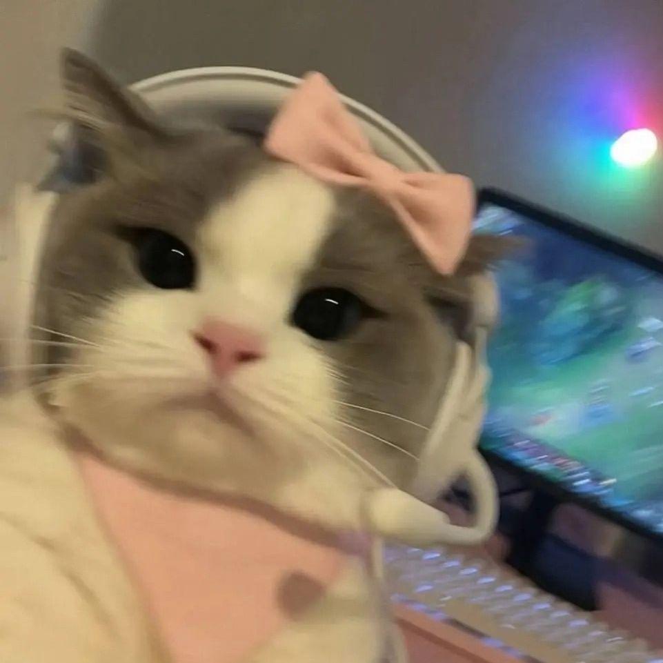mommy_mommy avatar