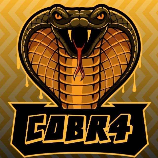 Player Cobr4_ok avatar