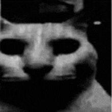 Nichelax avatar