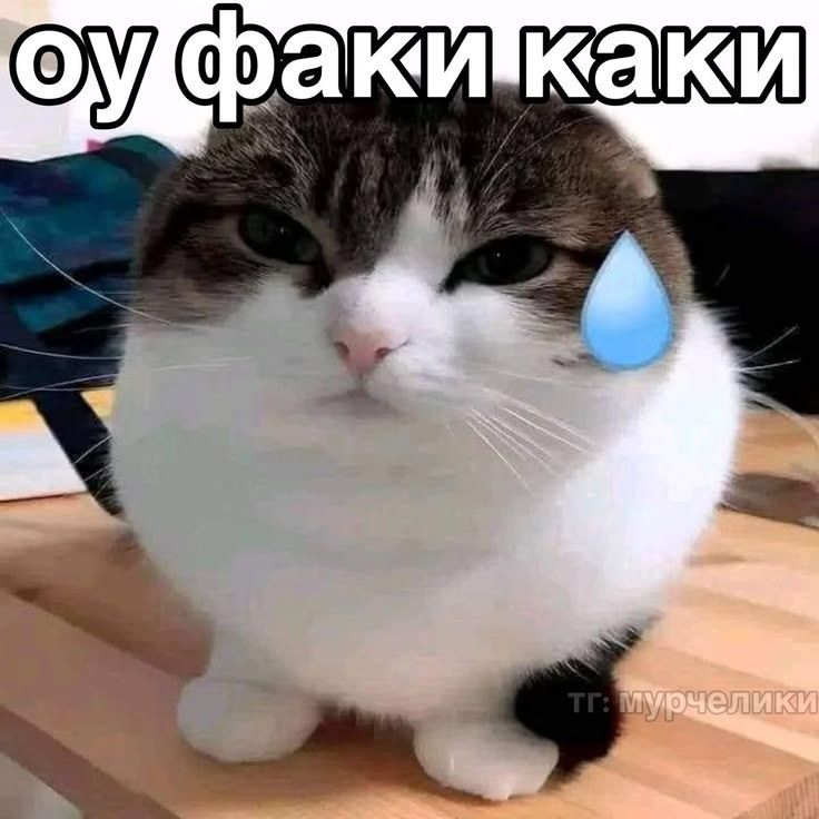 vordi