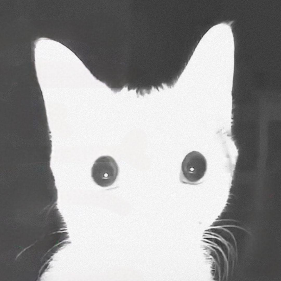 cheskiskina avatar