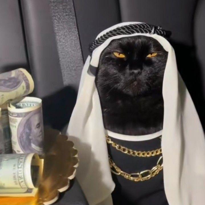 iToSH1k avatar