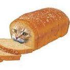 bread85 avatar