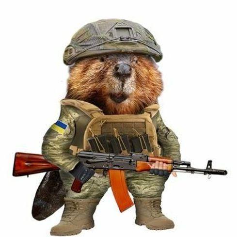 judasson avatar