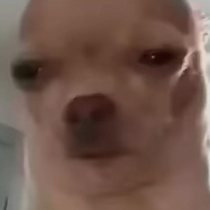 VkidOformil avatar