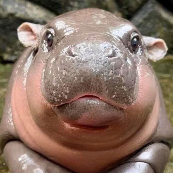 uncleK1ng avatar