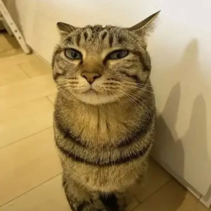 PunkM0nk
