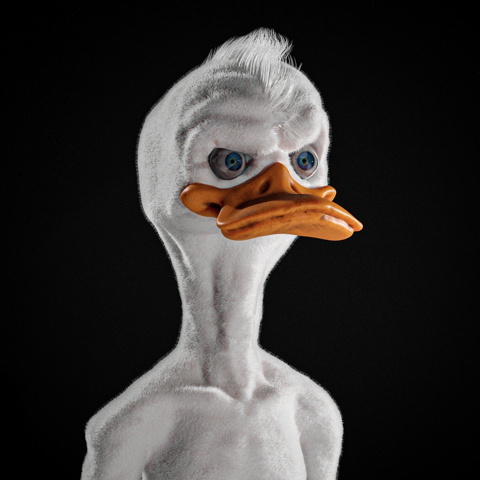 ZoomDuck avatar