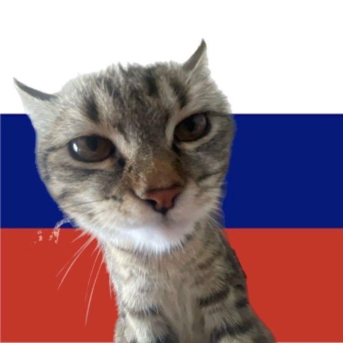 sooqafrukt avatar