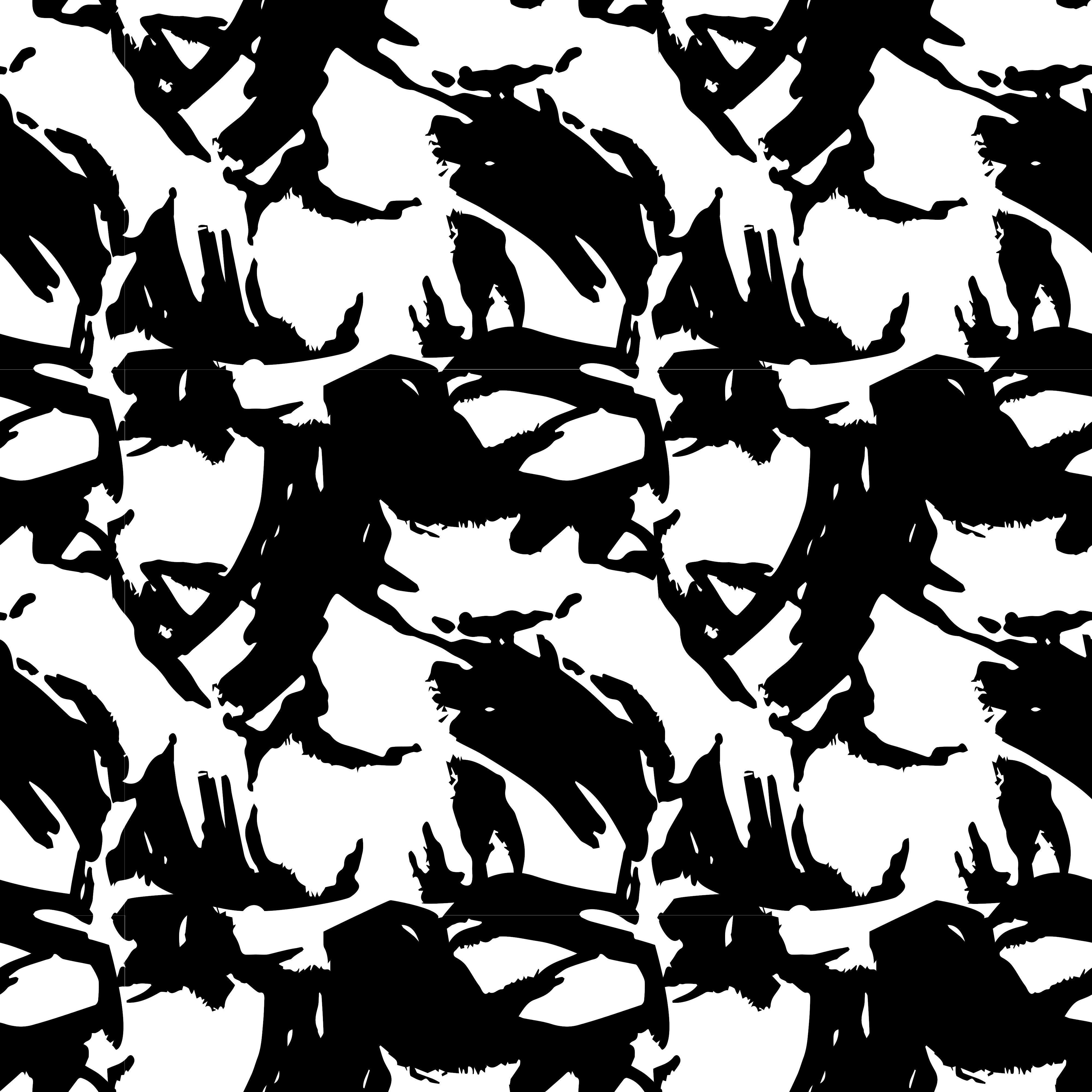knife-- avatar
