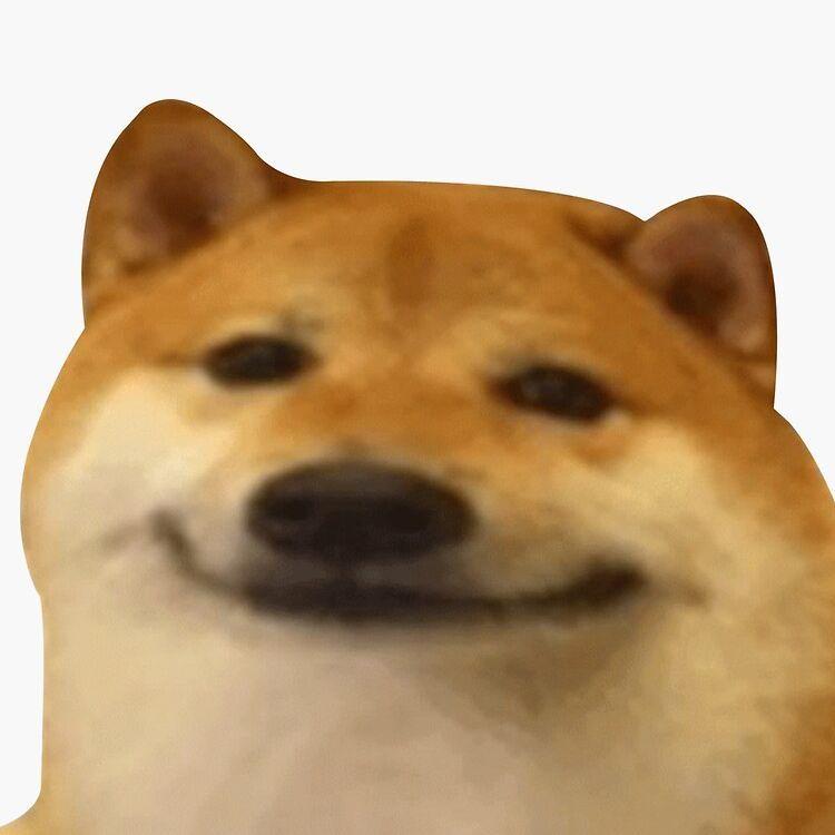Pavlis__ avatar