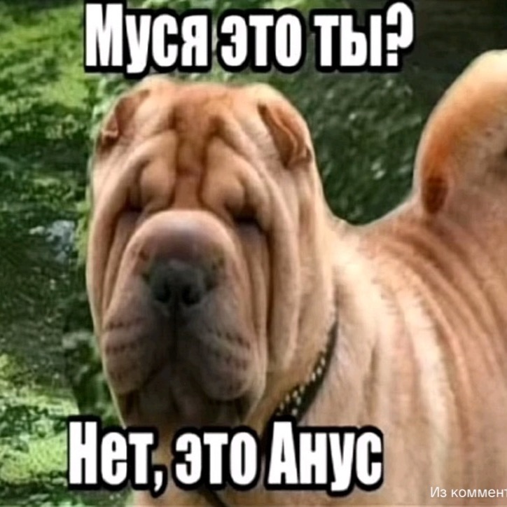 Vetr0w