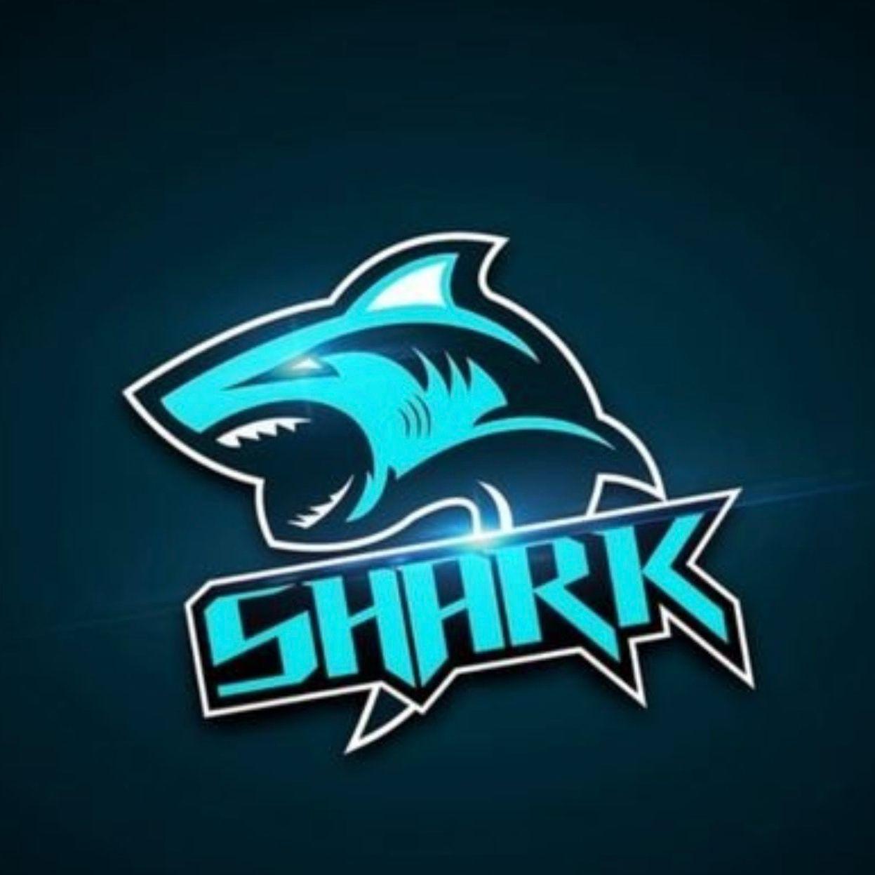 STARxSHARK avatar