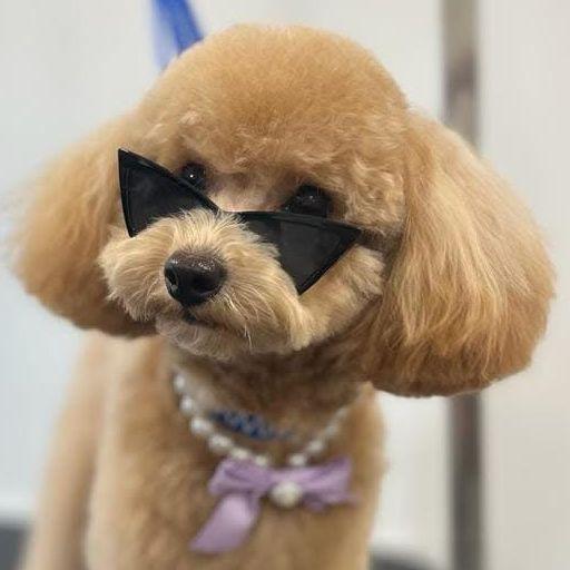 LEENAS avatar
