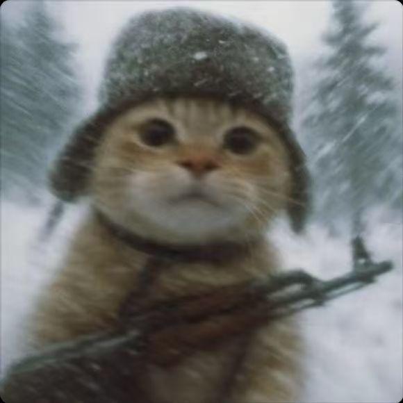 FaceitDHT avatar