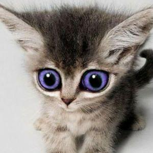 glichkin avatar