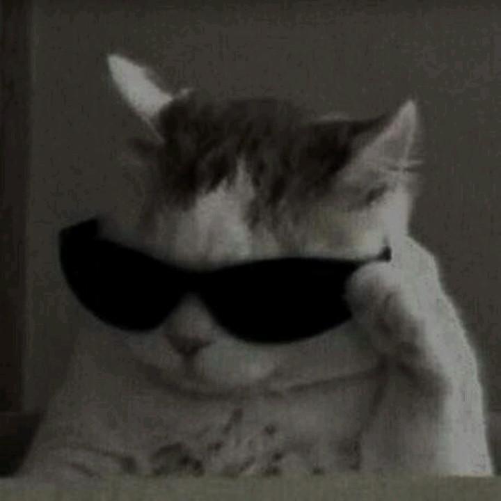 7RJay7 avatar