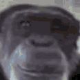 whuozas FACEIT avatar