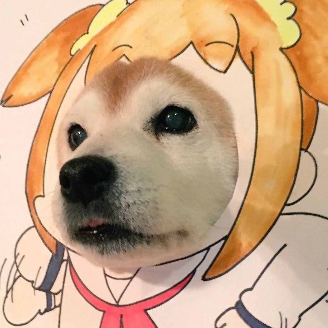 V_1_R_Y_S avatar