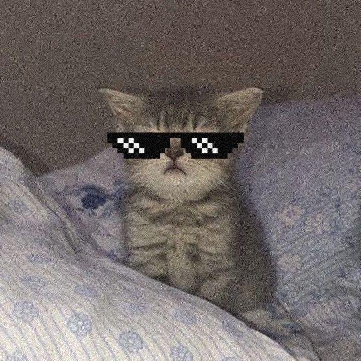 Zoz0lek1337 avatar