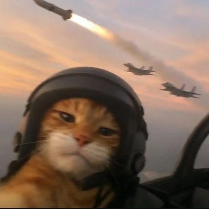 CycloneF
