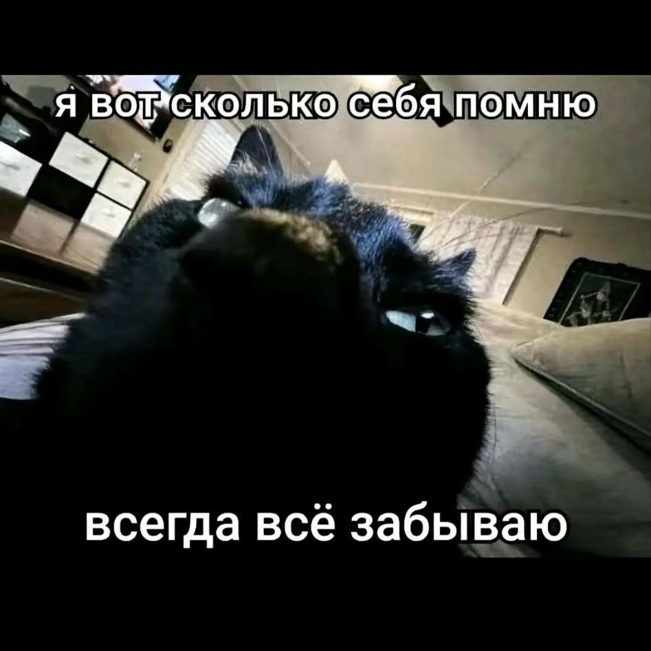 JlOJlK