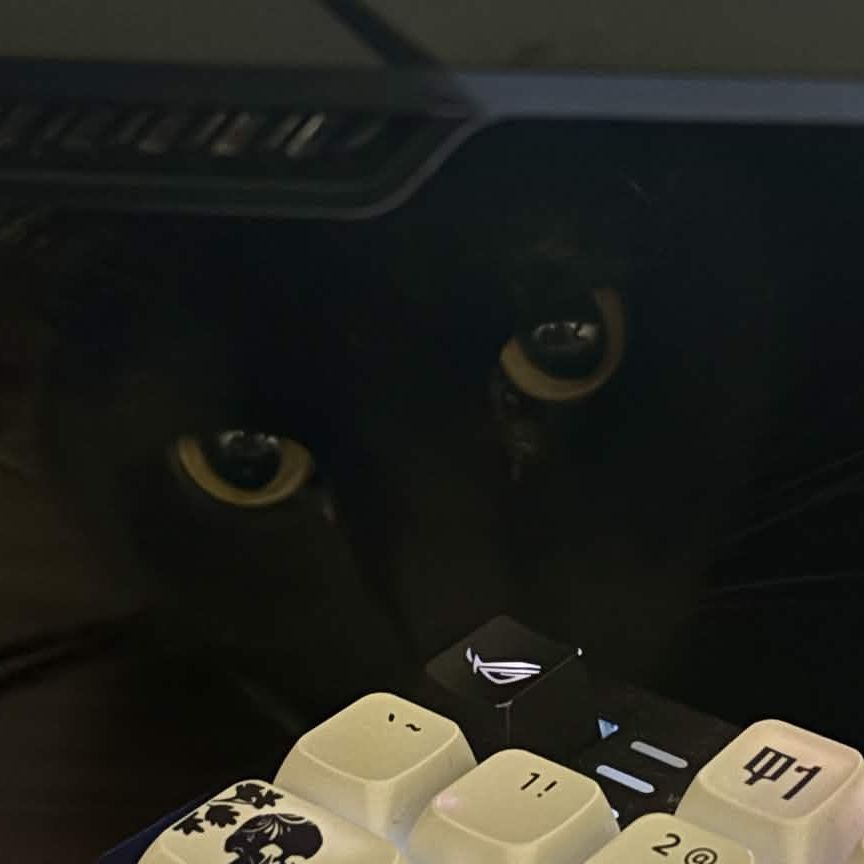 Oki_Dokie