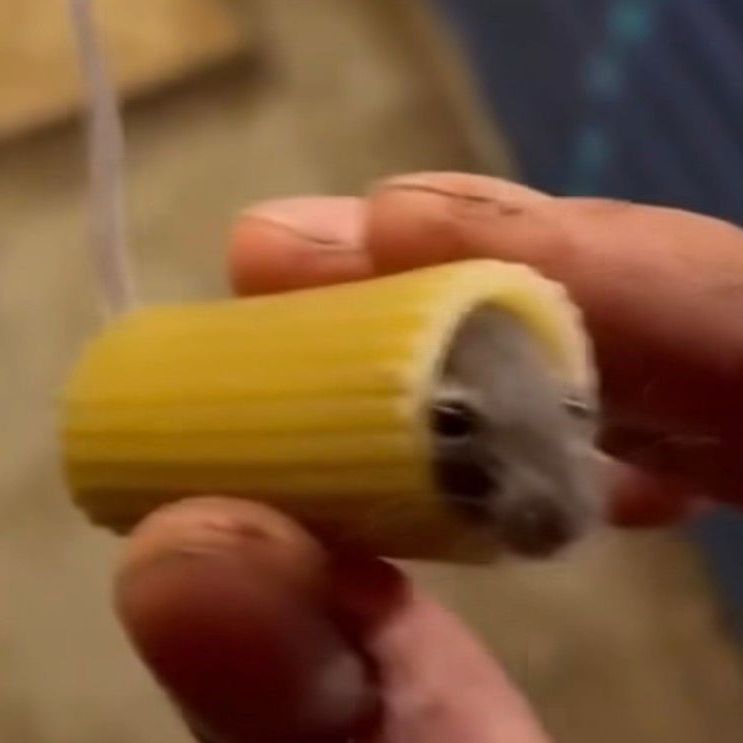 3Dview