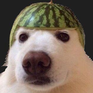 Mefjuu1337
