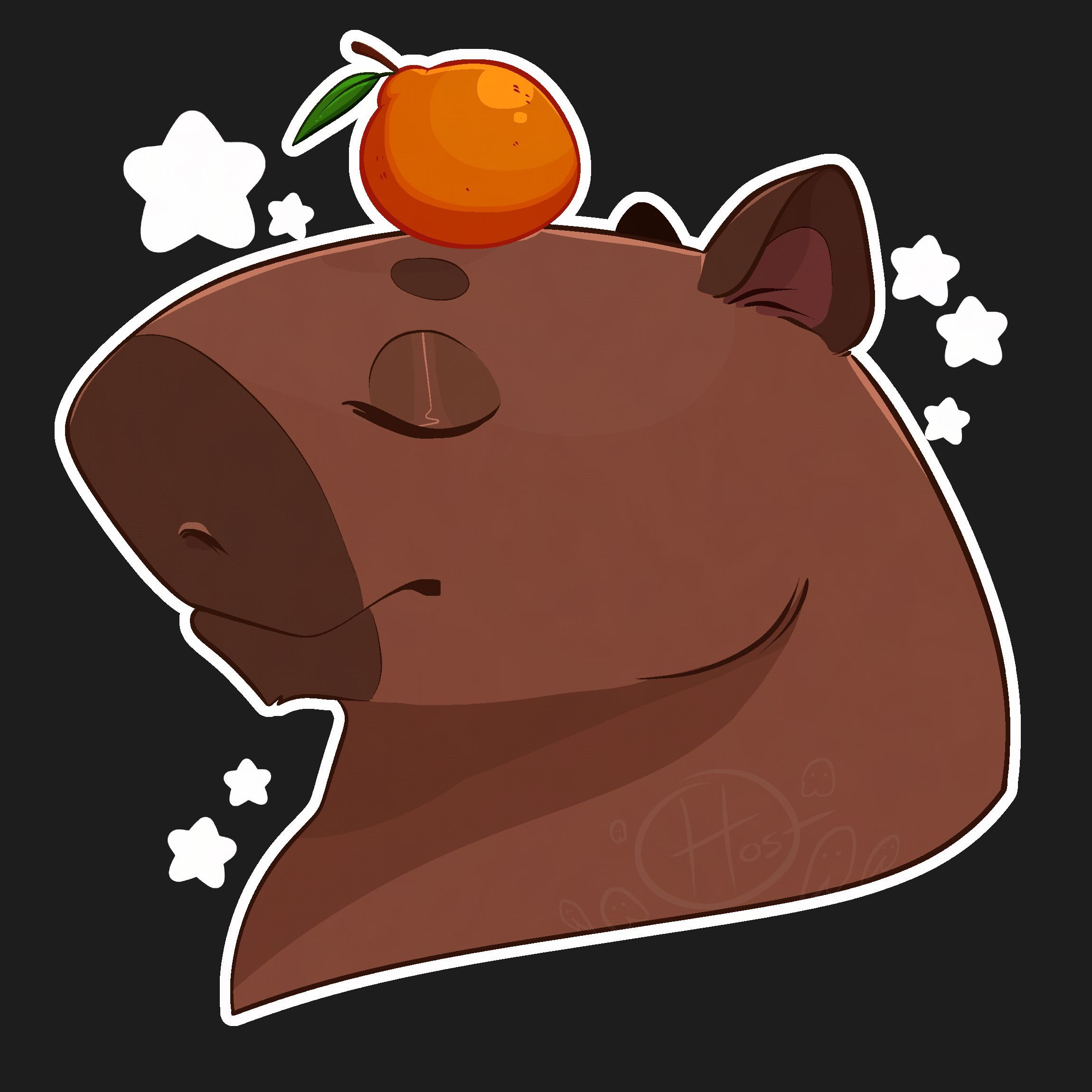 _Puetis_ avatar